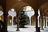 Thumbnail of Bellinzona-9.jpg