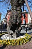 Thumbnail of IMG_7087.jpg