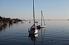 Thumbnail of IMG_7120.jpg
