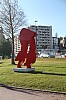 Thumbnail of IMG_7165.jpg