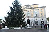 Thumbnail of IMG_7170.jpg