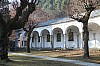 Thumbnail of IMG_7175.jpg