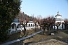 Thumbnail of IMG_7179.jpg