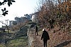Thumbnail of IMG_7183.jpg