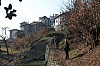 Thumbnail of IMG_7184.jpg